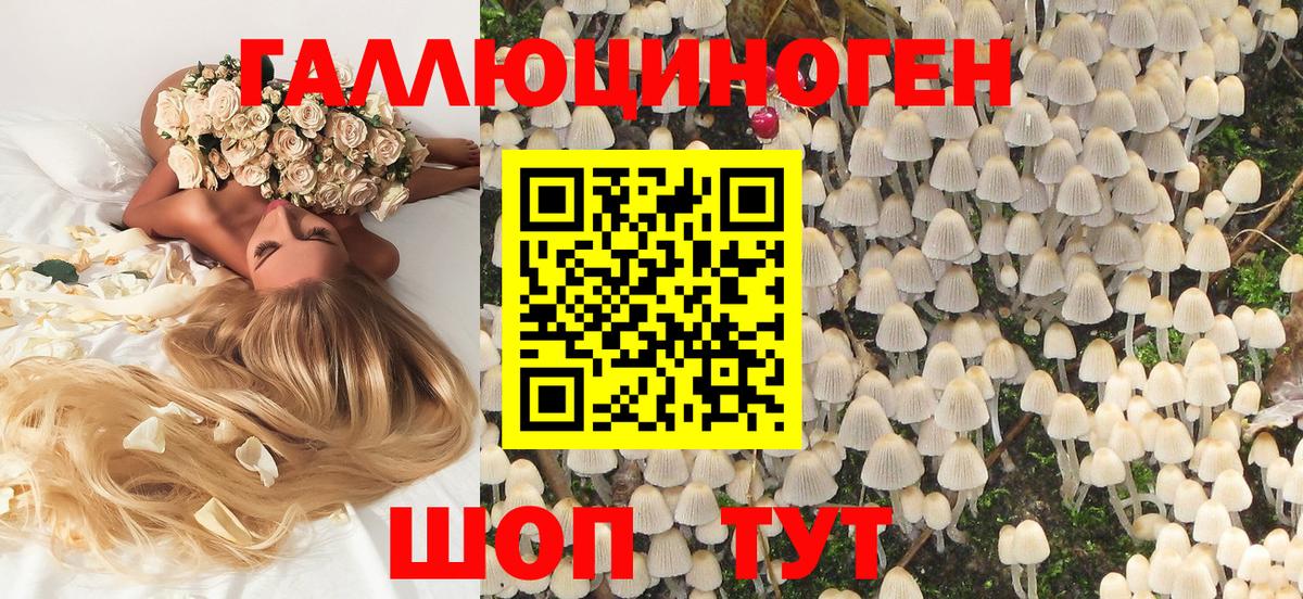 Галлюциногенные грибы Psilocybe Екатеринбург