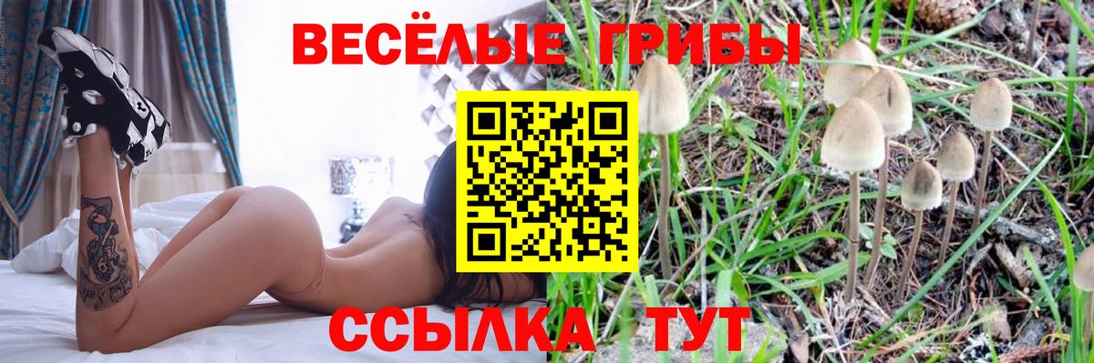 Псилоцибиновые грибы мухоморы  Вход с VPN  Екатеринбург 